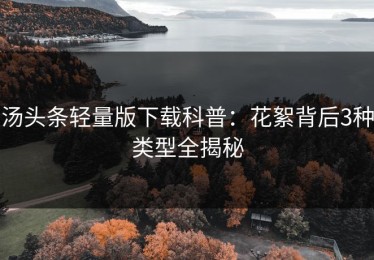 汤头条轻量版下载科普：花絮背后3种类型全揭秘