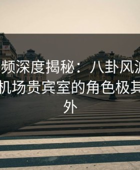 樱花视频深度揭秘：八卦风波背后，明星在机场贵宾室的角色极其令人意外