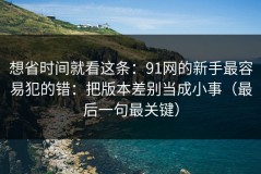想省时间就看这条：91网的新手最容易犯的错：把版本差别当成小事（最后一句最关键）