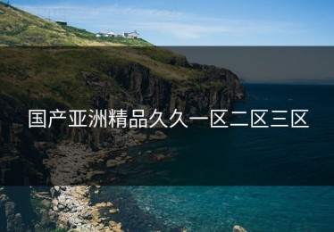 国产亚洲精品久久一区二区三区