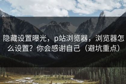 隐藏设置曝光，p站浏览器，浏览器怎么设置？你会感谢自己（避坑重点）