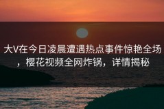 大V在今日凌晨遭遇热点事件惊艳全场，樱花视频全网炸锅，详情揭秘