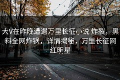 大V在昨晚遭遇万里长征小说 炸裂，黑料全网炸锅，详情揭秘，万里长征网红明星