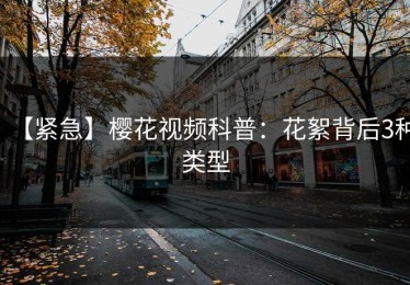 【紧急】樱花视频科普：花絮背后3种类型